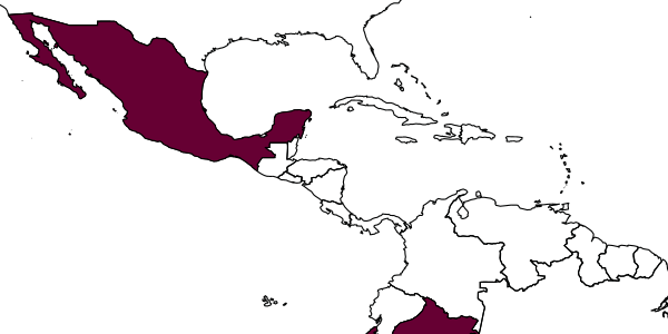 map of Gonatopus ogloblini     Virla, 1997